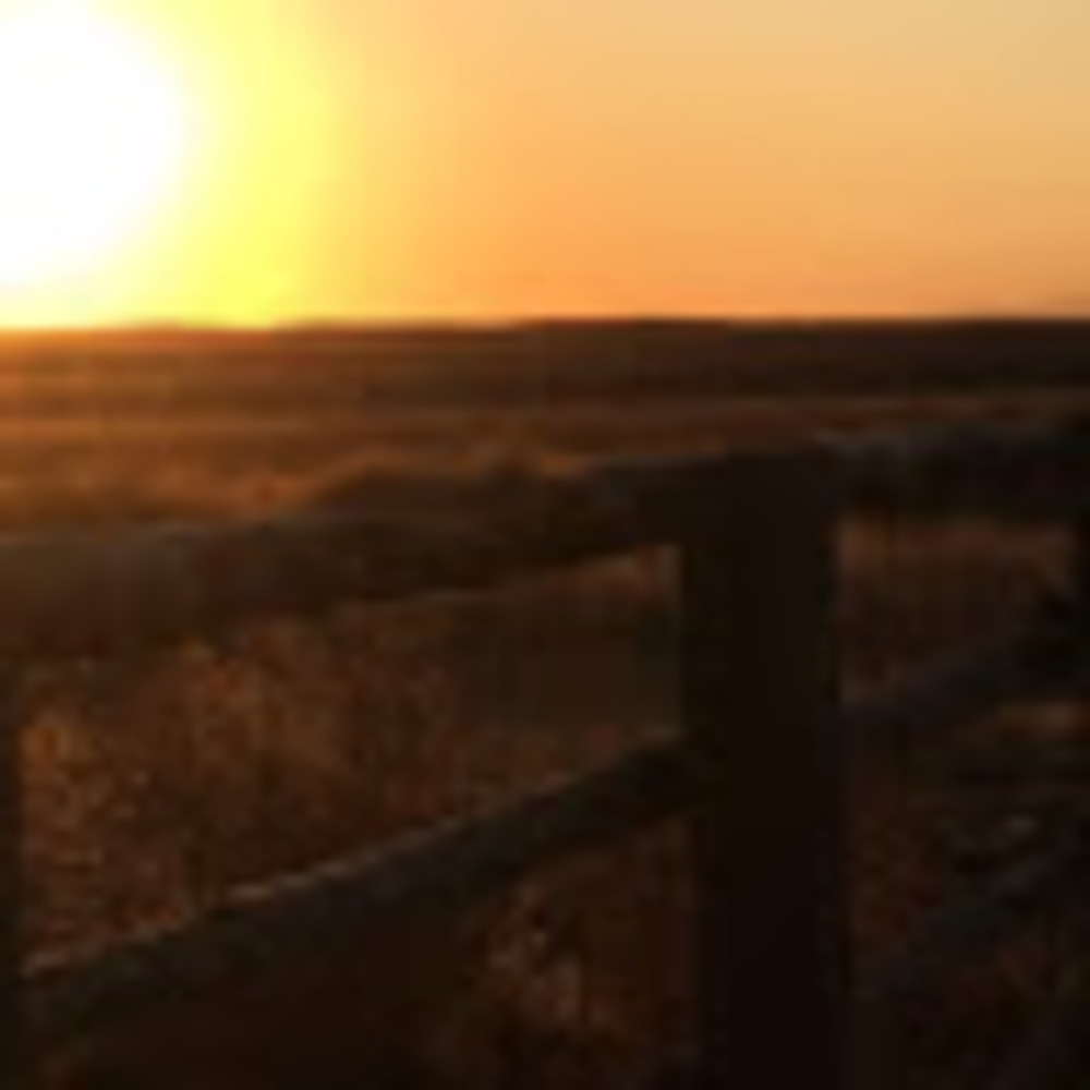 Meet your Posher, Josie